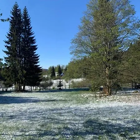 Sedmidomi