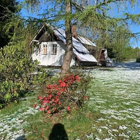 Apartment Sedmidomi *